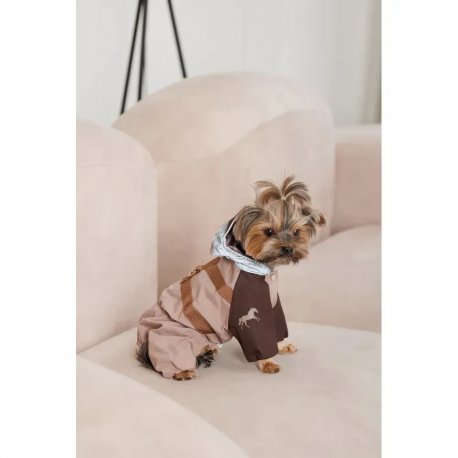Дождевик для собак Pet Fashion Tina XS (PR243513*****)