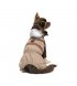 Дождевик для собак Pet Fashion Tina XS (PR243513*****)