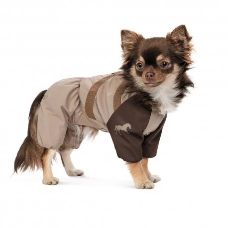 Дождевик для собак Pet Fashion Tina XS (PR243513*****)