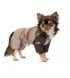 Дождевик для собак Pet Fashion Tina XS (PR243513*****)