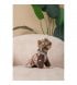 Дождевик для собак Pet Fashion Tina XS (PR243513*****)