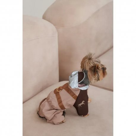 Дождевик для собак Pet Fashion Tina XS (PR243513*****)