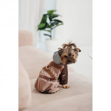 Дождевик для собак Pet Fashion Tina XS (PR243513*****)