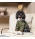 Дождевик для собак Pet Fashion Mustang XS (PR243505*****)