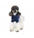 Свитер для собак Pet Fashion Sam XXS (PR442317*****)