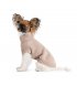 Свитер для собак Pet Fashion Sam L (PR442447*****)
