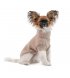 Свитер для собак Pet Fashion Sam L (PR442447*****)