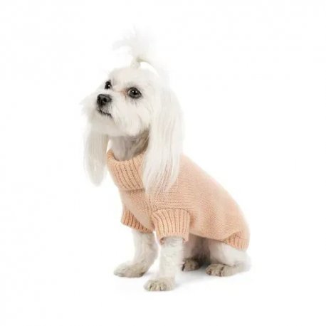 Свитер для собак Pet Fashion Sam XS (PR442386)