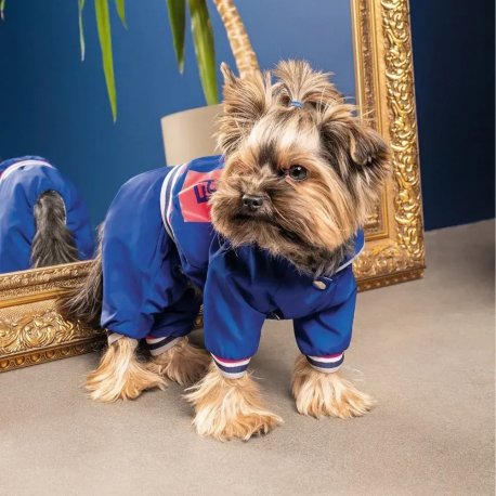 Дождевик для собак Pet Fashion JIMI XS (PR243150*****)