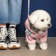 Дождевик для собак Pet Fashion Ariel M (PR242988*****)