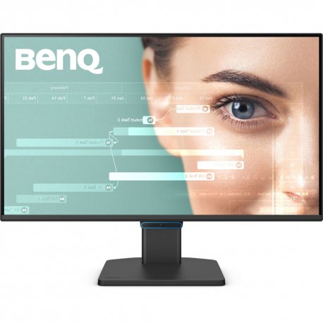 Монитор BENQ GW2491E Black (9H.LNHLJ.LBE)