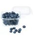 Контейнер для зберігання miFamilia 450 мл (6033mF)