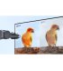 Монитор Xiaomi 27" A27Qi (ELA6568EU)
