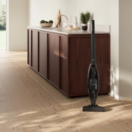 Ручной аккумуляторный пылесос Electrolux Black (ES31CB18GG)