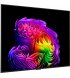 Телевізор LG OLED 55" 4K 120Hz Smart WebOS Black (OLED55G64LW)