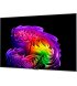 Телевізор LG OLED 55" 4K 120Hz Smart WebOS Black (OLED55G64LW)