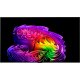 Телевізор LG OLED 65" 4K 120Hz Smart WebOS Black (OLED65G64LW) Телевізор LG OLED 65" 4K 120Hz Smart WebOS Black (OLED65G64LW)