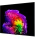 Телевізор LG OLED 65" 4K 120Hz Smart WebOS Black (OLED65G64LW)