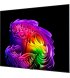 Телевізор LG OLED 77" 4K 120Hz Smart WebOS Black (OLED77G64LW)