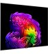 Телевізор LG OLED 77" 4K 120Hz Smart WebOS Black (OLED77G64LW)