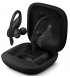 Beats Powerbeats Pro Totally Wireless Earphones Black (MV6Y2)