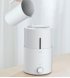 Увлажнитель воздуха Xiaomi Deerma Humidifier White (DEM-SJS100)