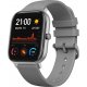 Умные часы Xiaomi Amazfit GTS Gray (A1914G)