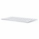 Клавиатура Apple Magic Keyboard (MLA22RS/A)