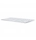 Клавиатура Apple Magic Keyboard (MLA22RS/A)
