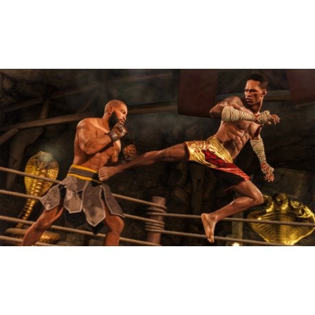 Игра UFC 4 (PS4, Русские субтитры)