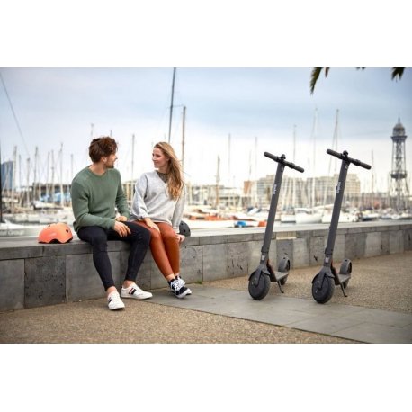 Электросамокат Ninebot by Segway E22E Grey (AA.00.0000.62)