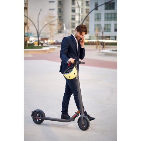 Электросамокат Ninebot by Segway E22E Grey (AA.00.0000.62)