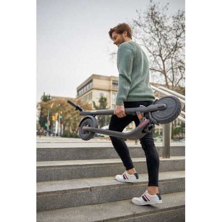 Электросамокат Ninebot by Segway E22E Grey (AA.00.0000.62)