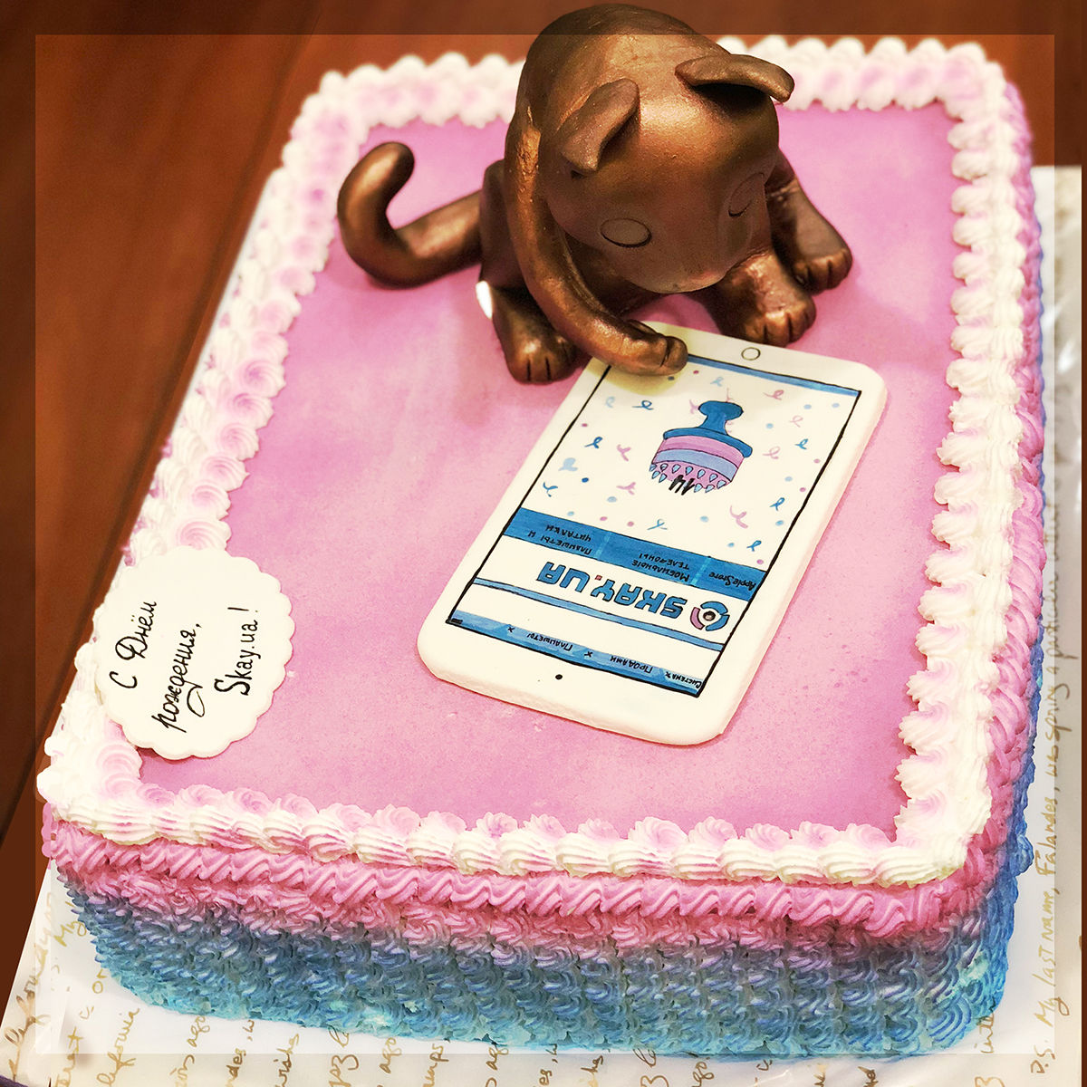 Одесские коты