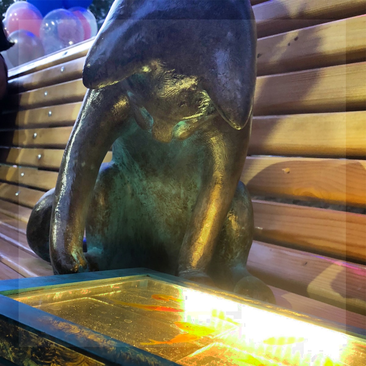 Одесские коты