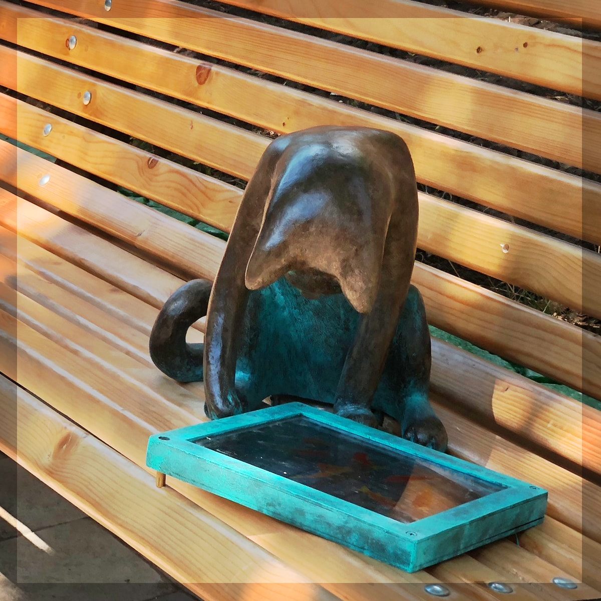 Одесские коты