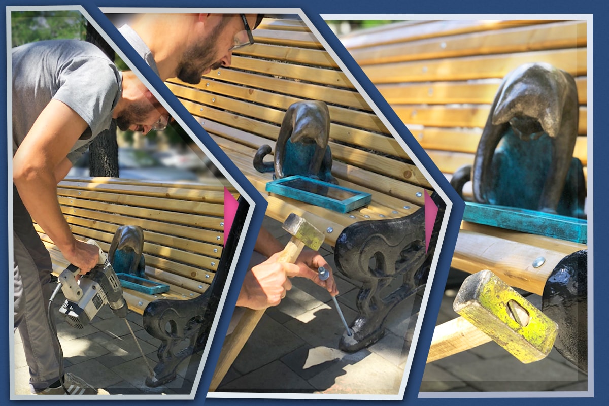 Одесские коты