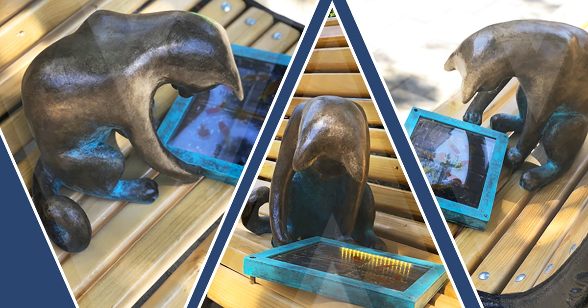 Одесские коты