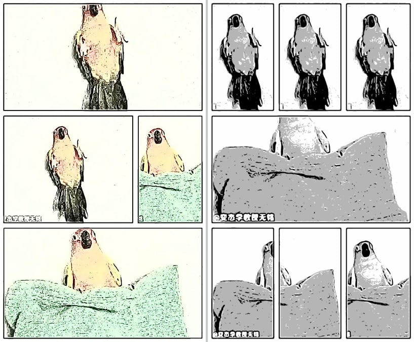 Приложение Storyboard